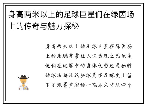 身高两米以上的足球巨星们在绿茵场上的传奇与魅力探秘